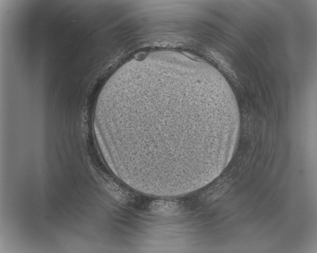 X0000072530354200608111752