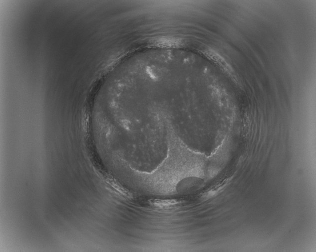 X0000072530355200608111752