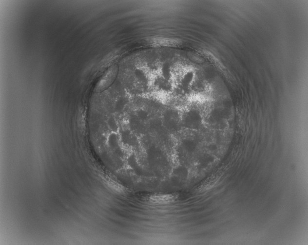 X0000072530357200608111752