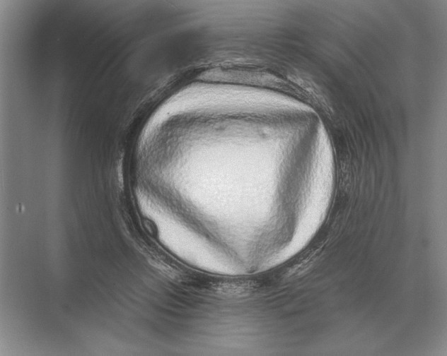 X0000072530358200608111752