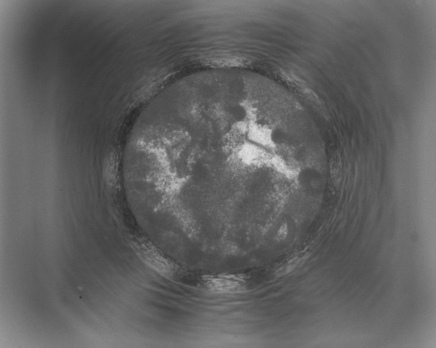 X0000072530359200608111752