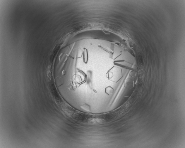 X0000072530360200608111752