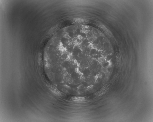 X0000072530361200608111752