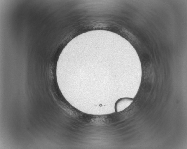 X0000072530362200608111752