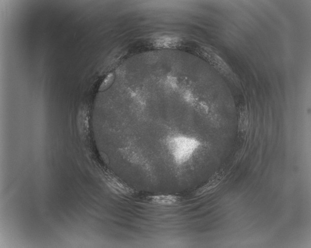 X0000072530363200608111752