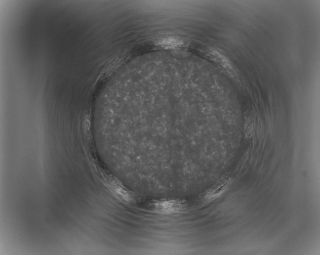 X0000072530365200608111752