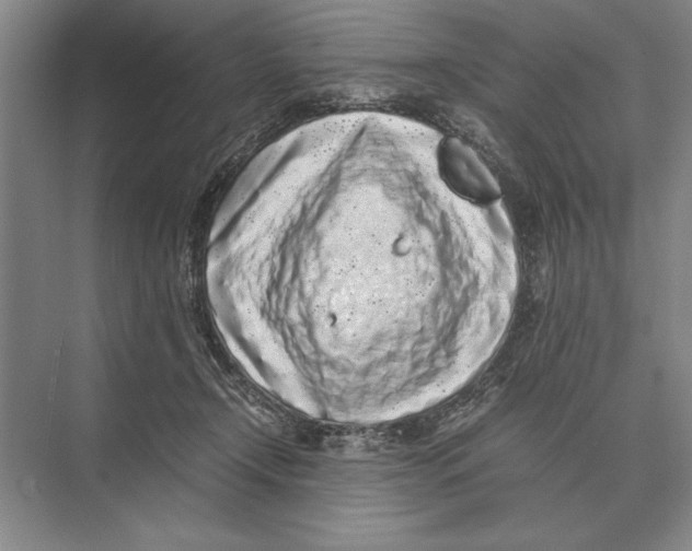 X0000072530366200608111752