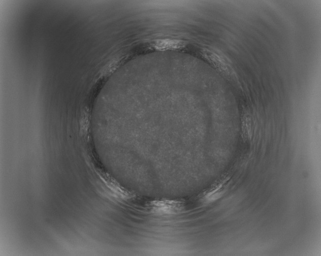 X0000072530367200608111752