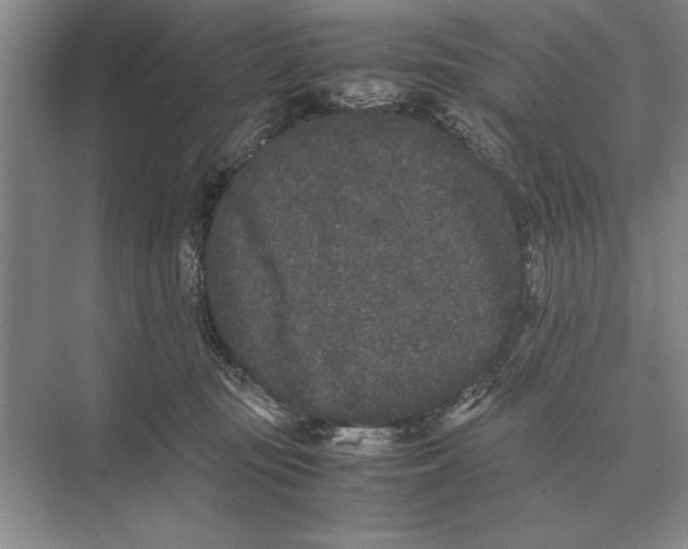 X0000072530371200608111752