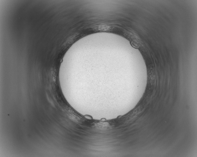 X0000072530374200608111752