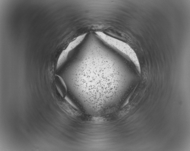 X0000072530376200608111752