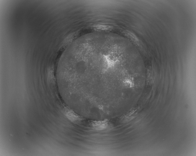 X0000072530377200608111752