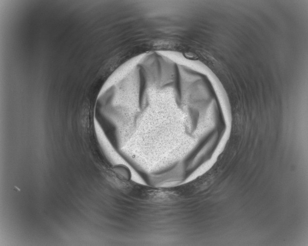 X0000072530379200608111752