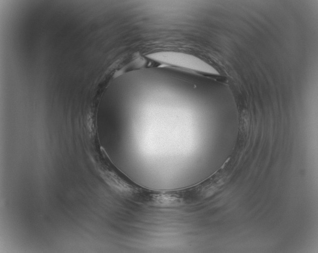 X0000072530380200608111752