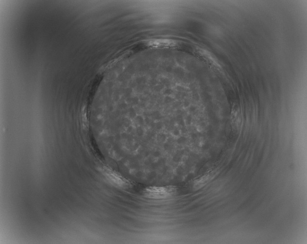 X0000072530381200608111752