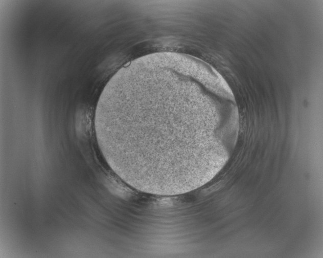 X0000072530382200608111752