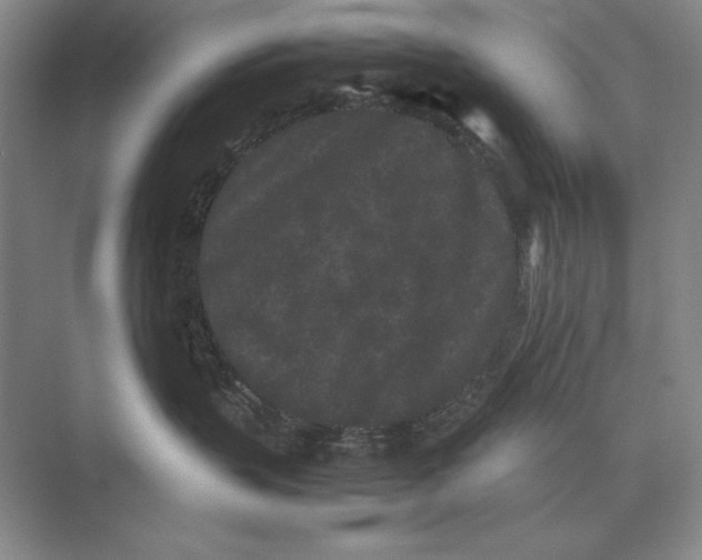 X0000072530383200608111752