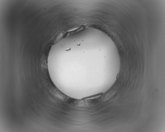 X0000072530384200608111752