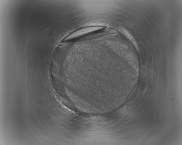 X0000072530385200608111752