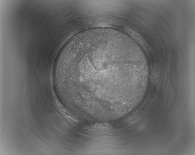 X0000072530386200608111752