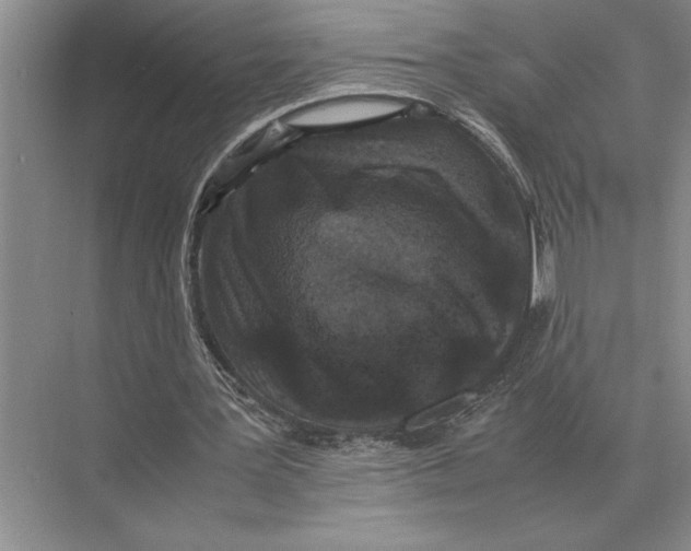 X0000072530387200608111752