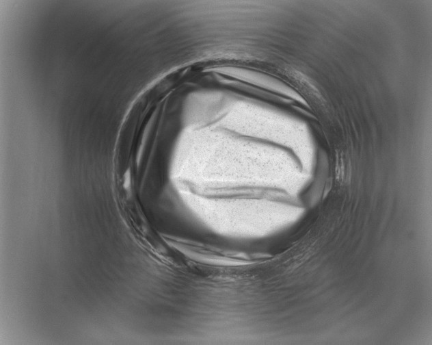 X0000072530388200608111752