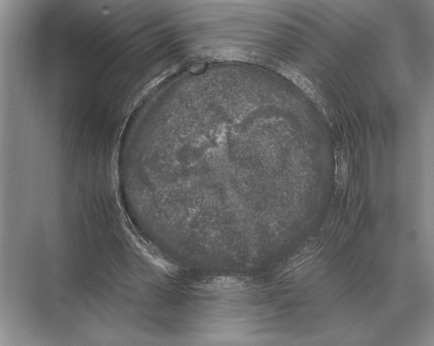 X0000072530390200608111752