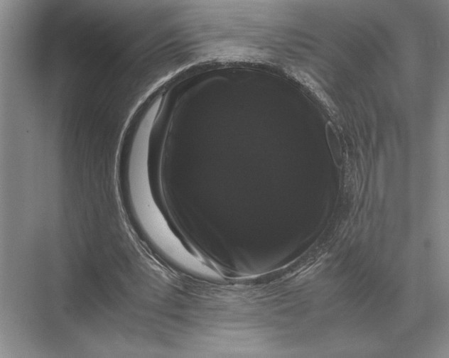 X0000072530391200608111752