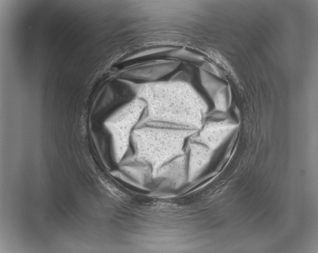 X0000072530393200608111752