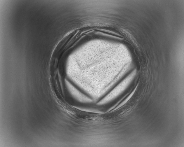 X0000072530395200608111751