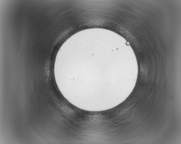 X0000072530396200608111751