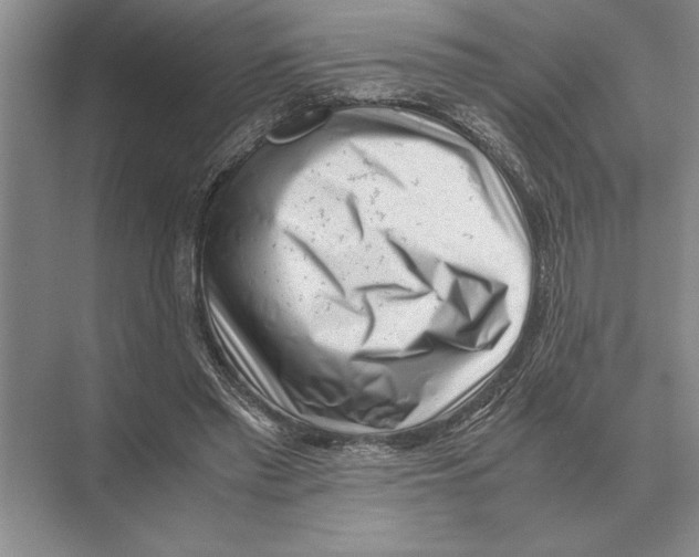 X0000072530397200608111751