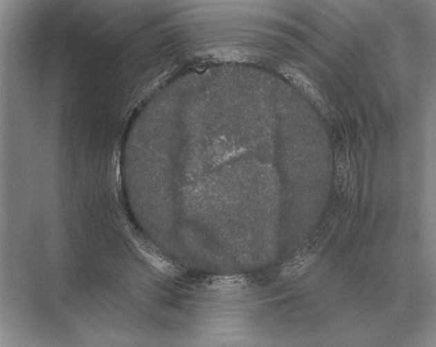 X0000072530398200608111751