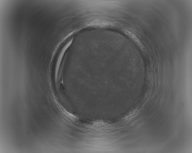 X0000072530399200608111751