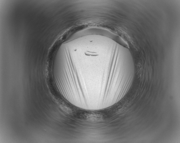 X0000072530400200608111751