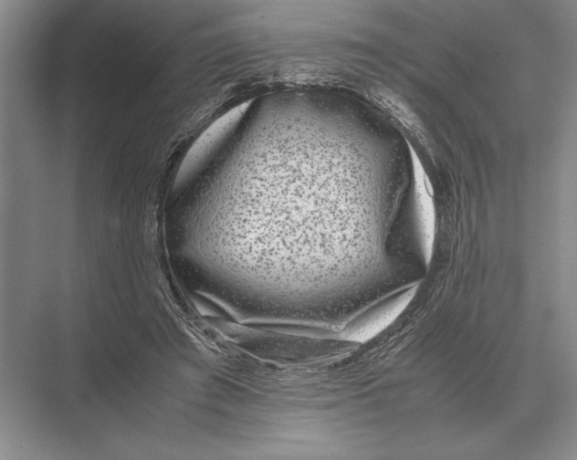 X0000072530401200608111751