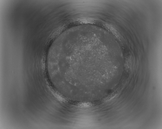 X0000072530402200608111751