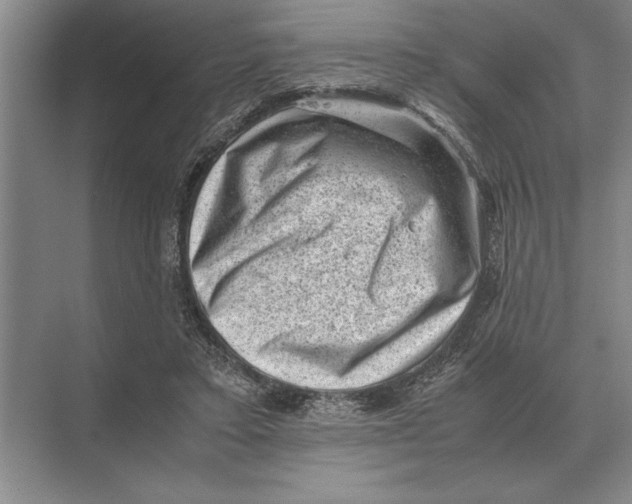 X0000072530403200608111751