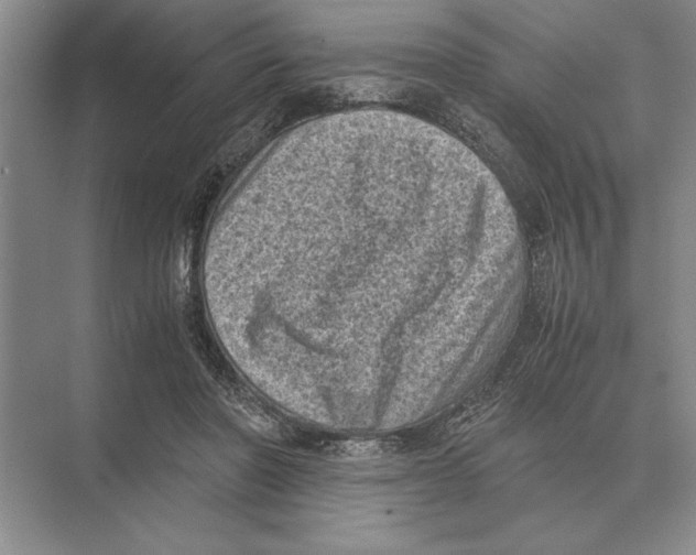 X0000072530406200608111751