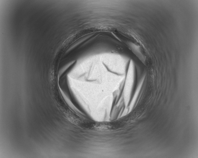 X0000072530407200608111751