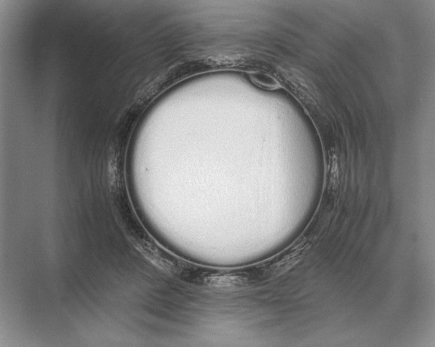 X0000072530408200608111751