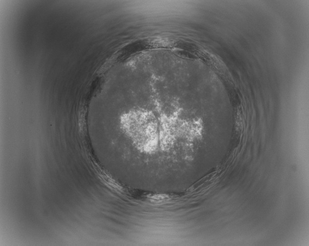 X0000072530409200608111751