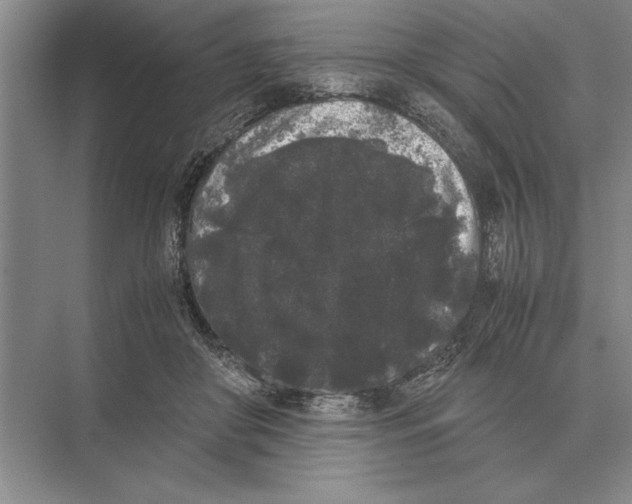 X0000072530410200608111751