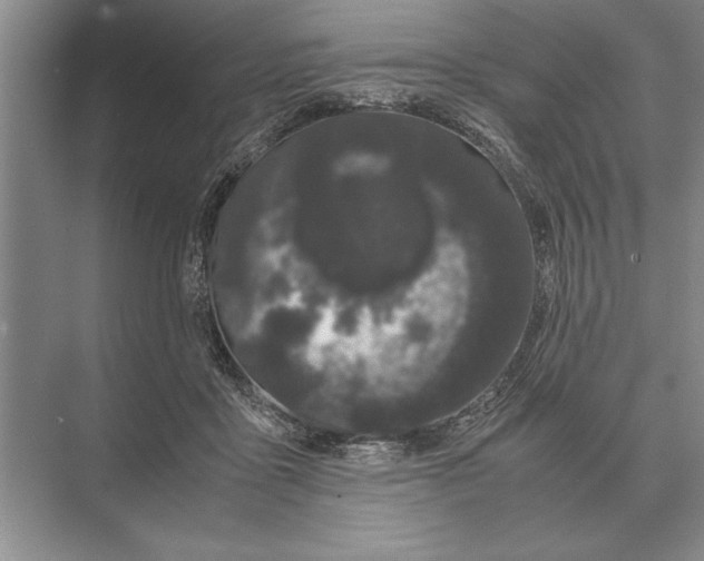 X0000072530411200608111751