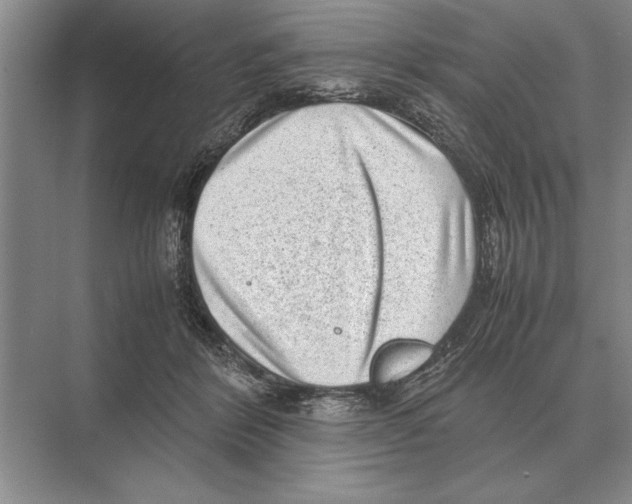 X0000072530412200608111751