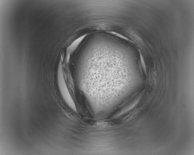 X0000072530413200608111751