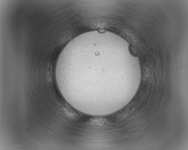 X0000072530414200608111751