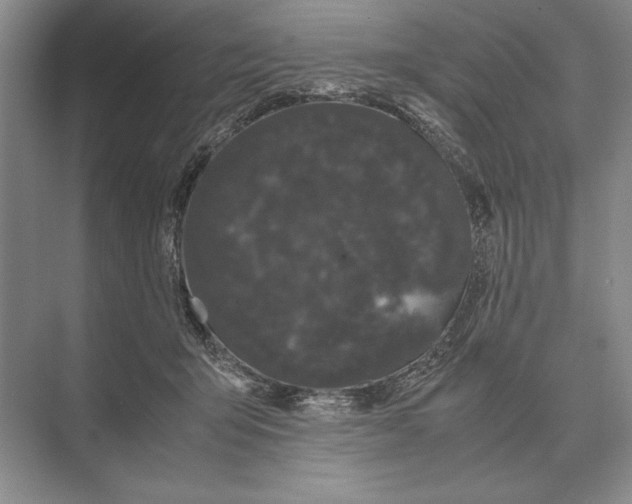 X0000072530415200608111751