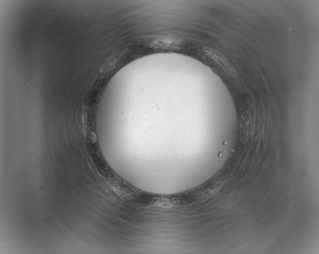 X0000072530416200608111751