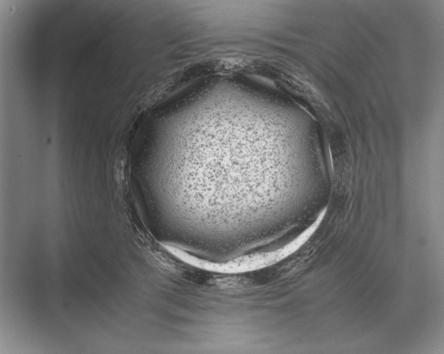 X0000072530417200608111751